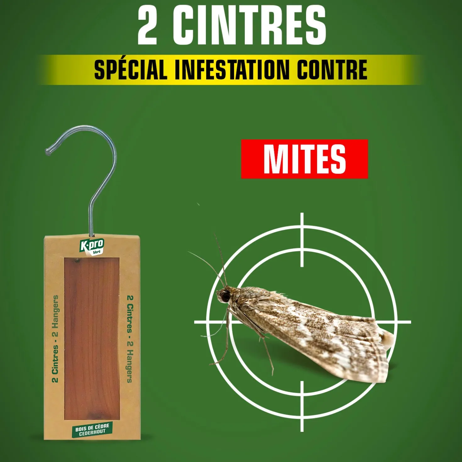Cintres au bois de cèdre