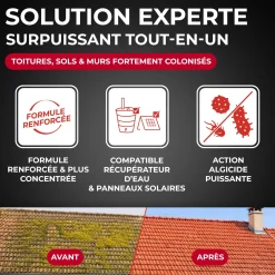 Destructeur de dépôts verts, rouges, lichens et traces noires prêt à l'emploi pour toitures, murs et sols extérieurs