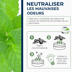 Destructeur d'odeurs Menthe