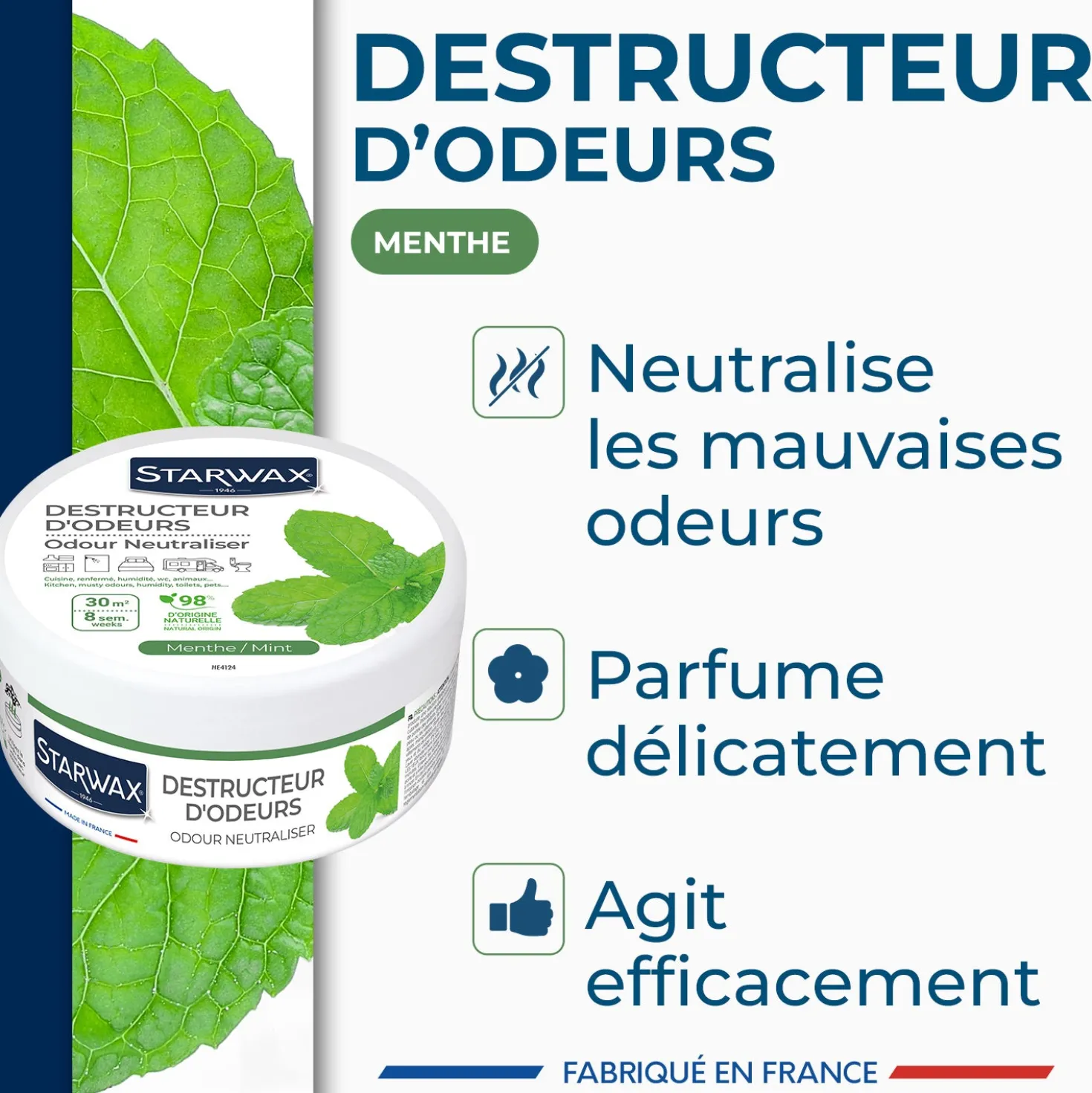 Destructeur d'odeurs Menthe