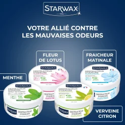 Destructeur d'odeurs Menthe