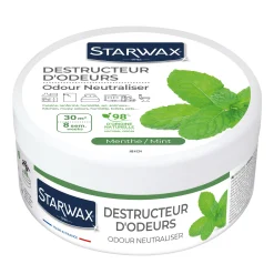 Destructeur d'odeurs Menthe