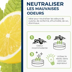 Destructeur d'odeurs Verveine Citron