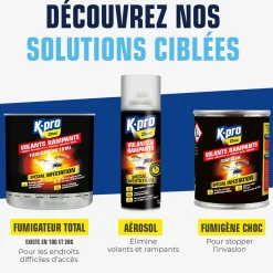 Fumigateur spécial infestation tous insectes