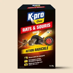 Grains rats et souris