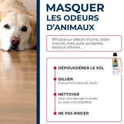 Lot de 3 Nettoyant désodorisant surodorant
