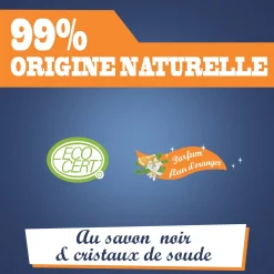 Mousse dégraissante au savon noir et cristaux de soude