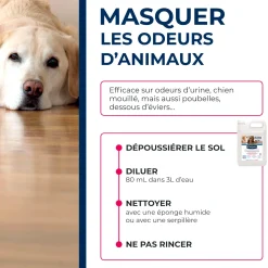 Nettoyant désodorisant surodorant