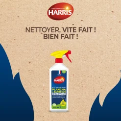 Nettoyant plancha et barbecue