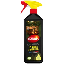 Nettoyant plancha et barbecue