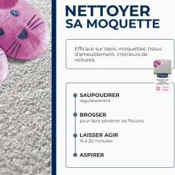 Nettoyant à sec pour tapis et moquettes