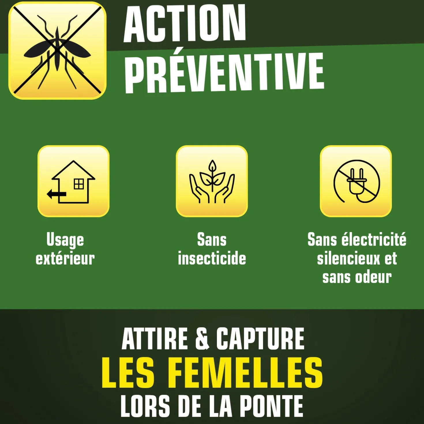 Pack de 2 Pièges anti-ponte moustiques communs et tigres+ 10 adhésifs