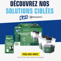 Pack de 2 Pièges anti-ponte moustiques communs et tigres+ 10 adhésifs