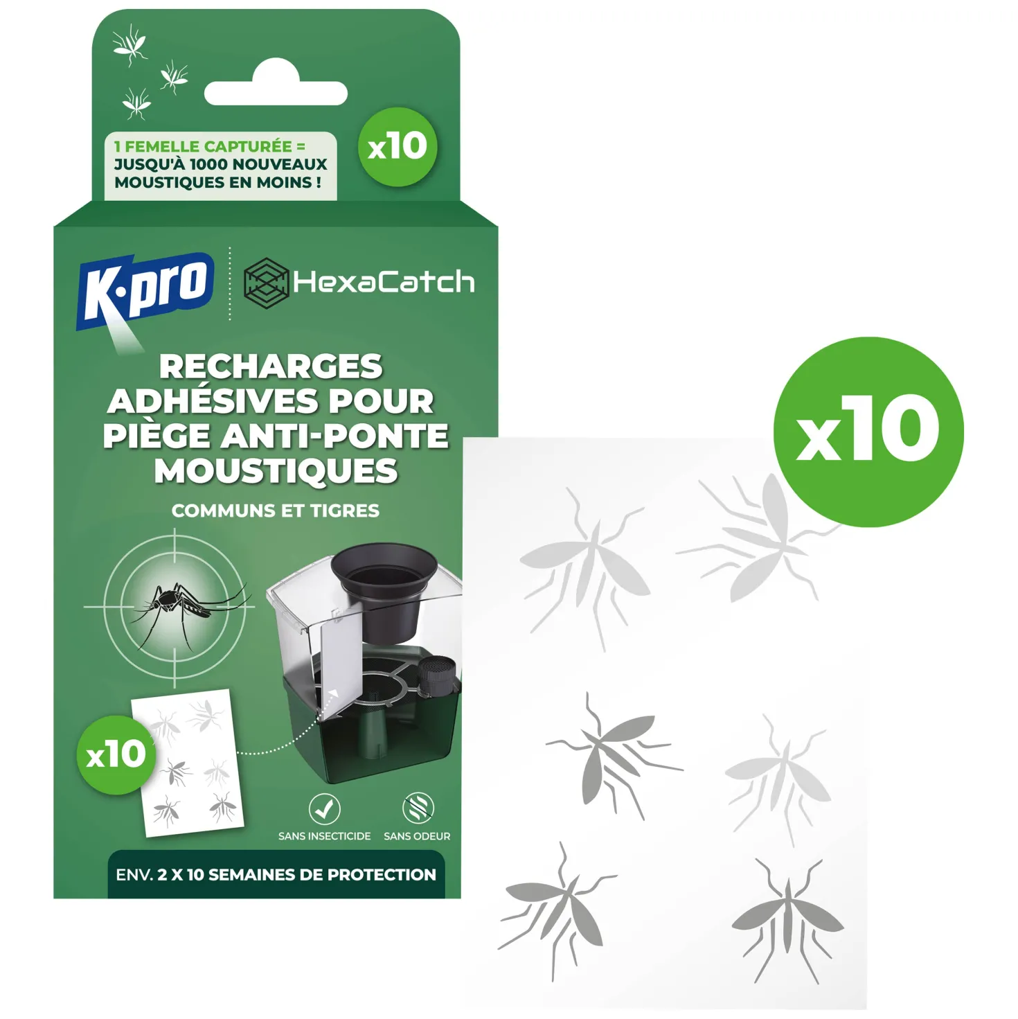 Pack de 10 recharges adhésives pour Pièges anti-ponte moustiques