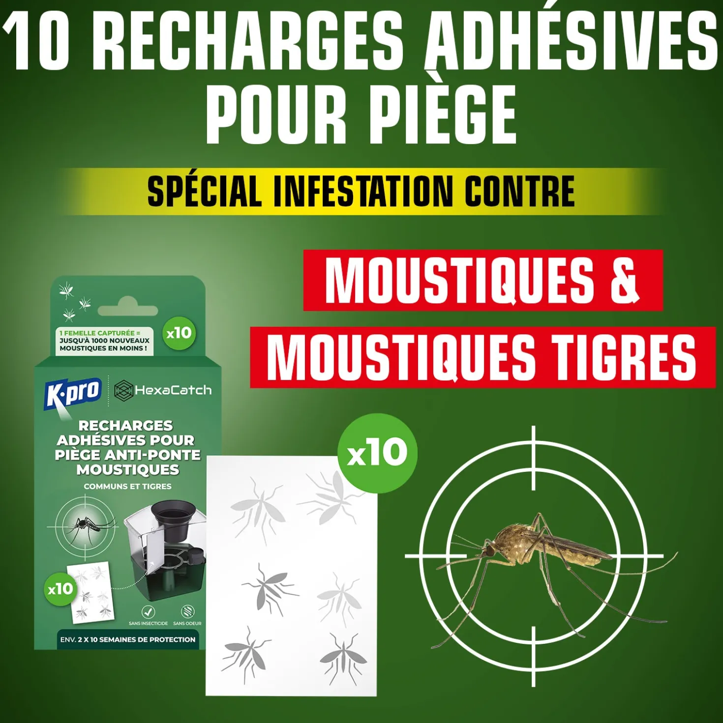 Pack de 10 recharges adhésives pour Pièges anti-ponte moustiques