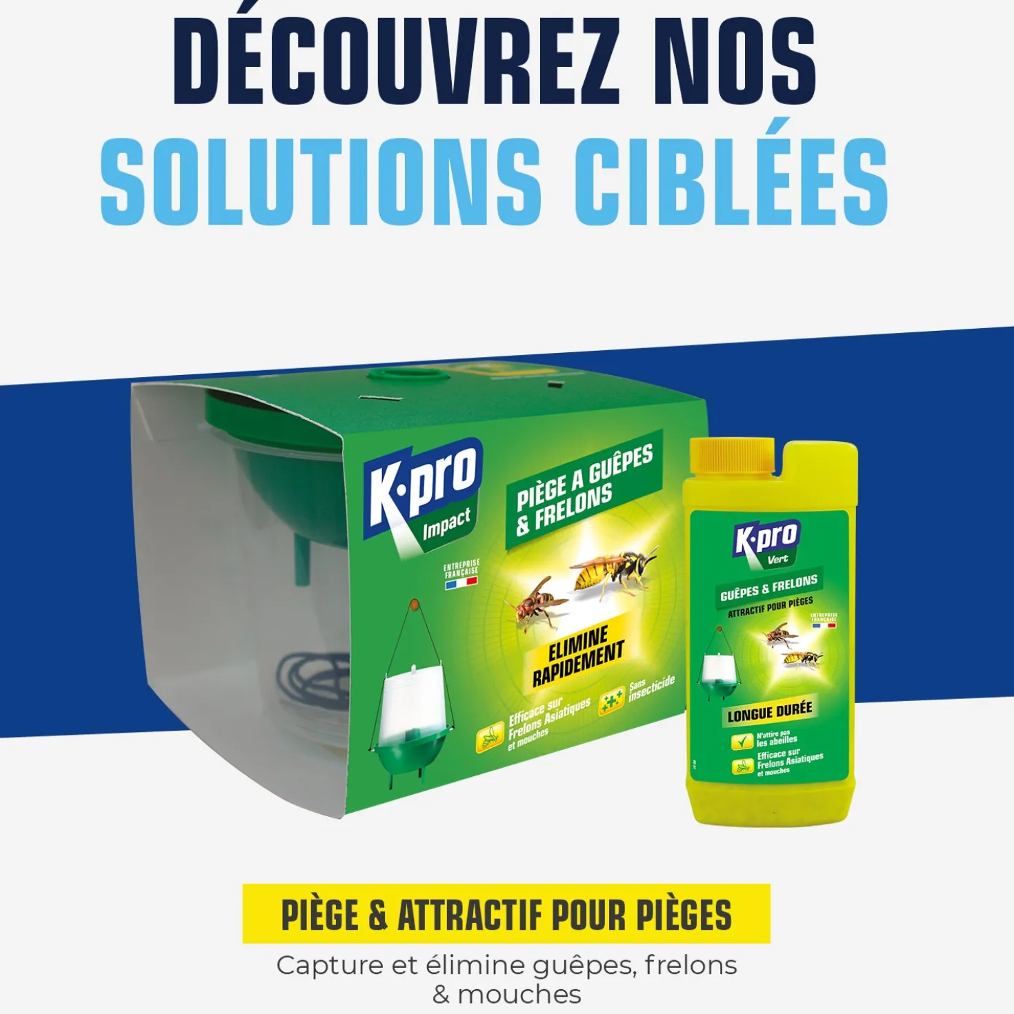 Piège à guêpes et frelons