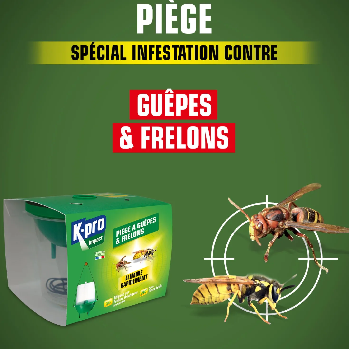 Piège à guêpes et frelons