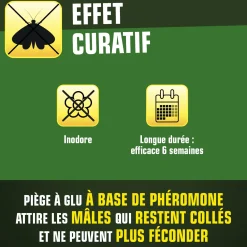 Pièges mites alimentaires