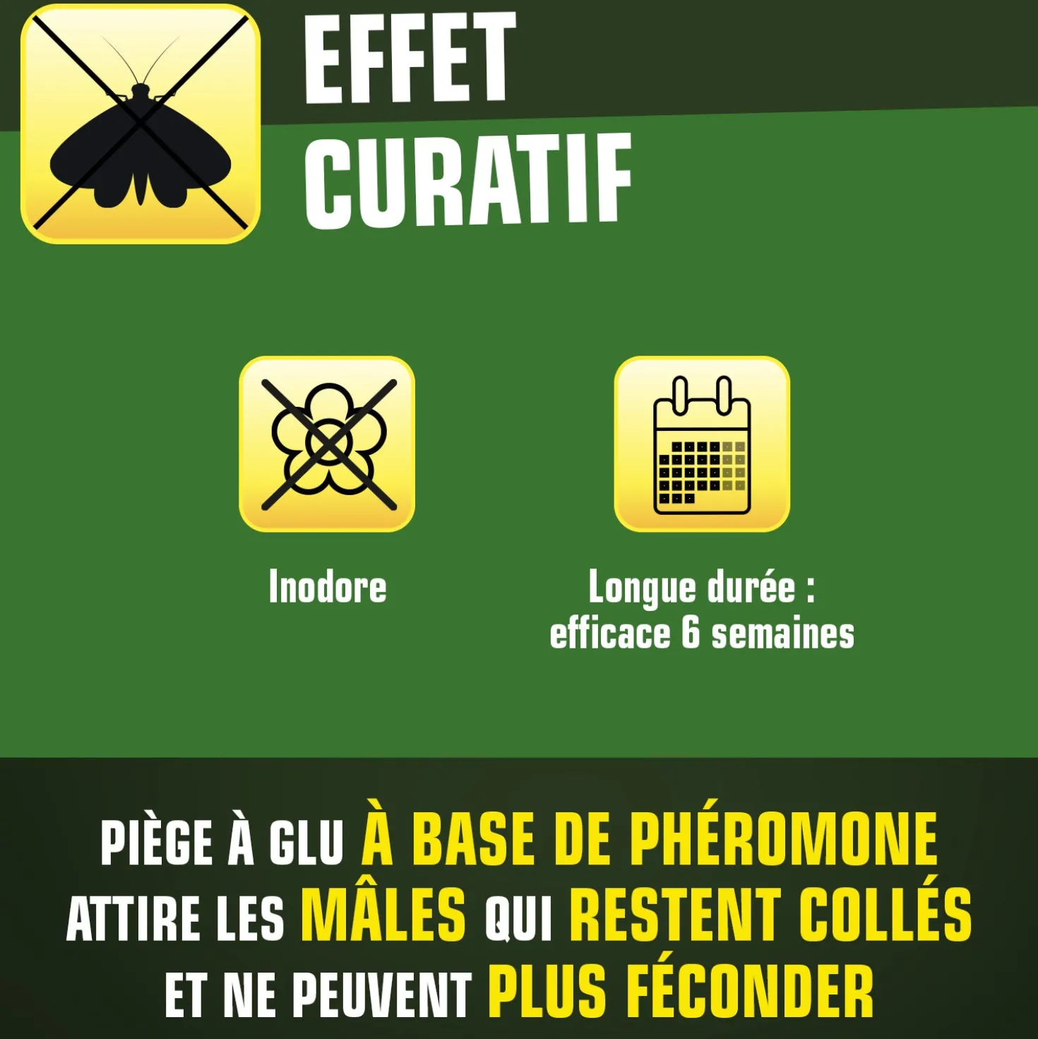 Pièges mites alimentaires