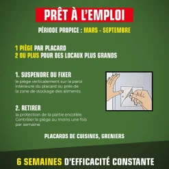 Pièges mites alimentaires