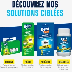 Pièges à mouches
