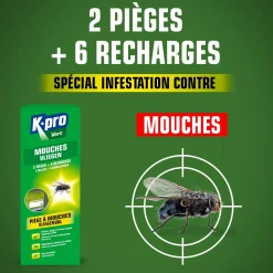 Pièges à mouches