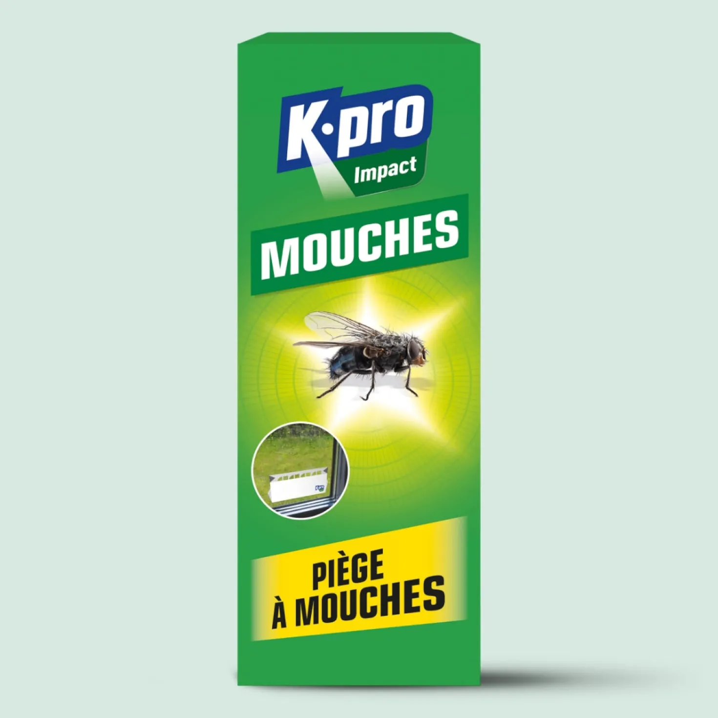 Pièges à mouches