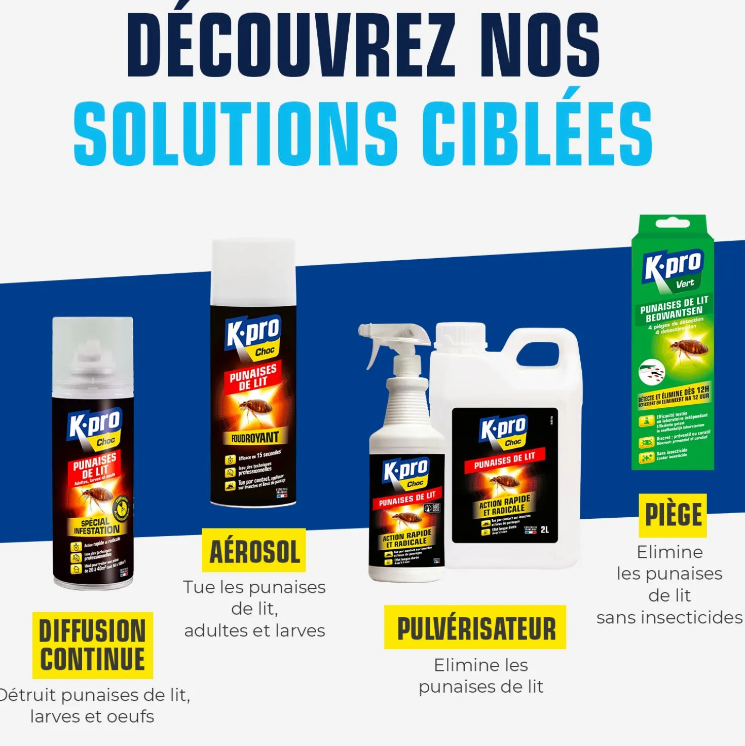 Pièges à punaises de lit