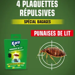 Plaquettes punaises de lit