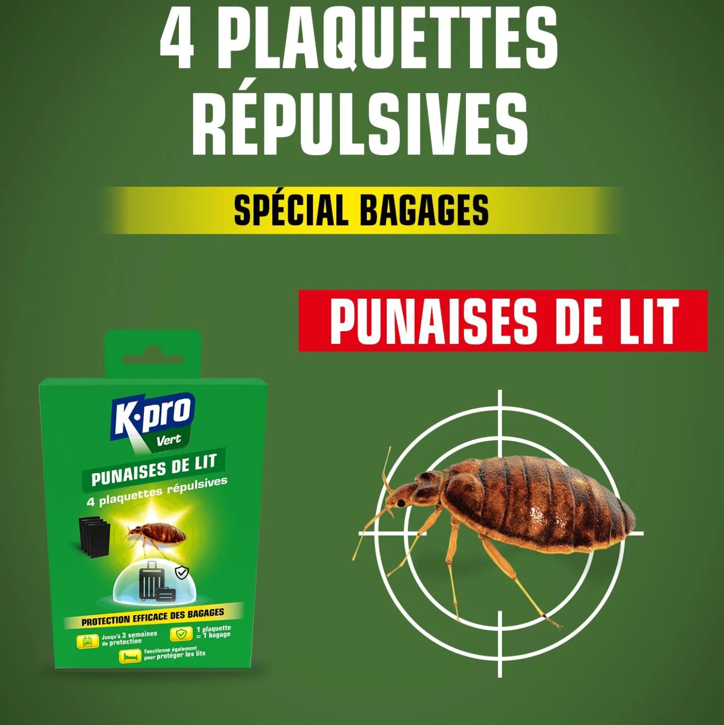 Plaquettes punaises de lit