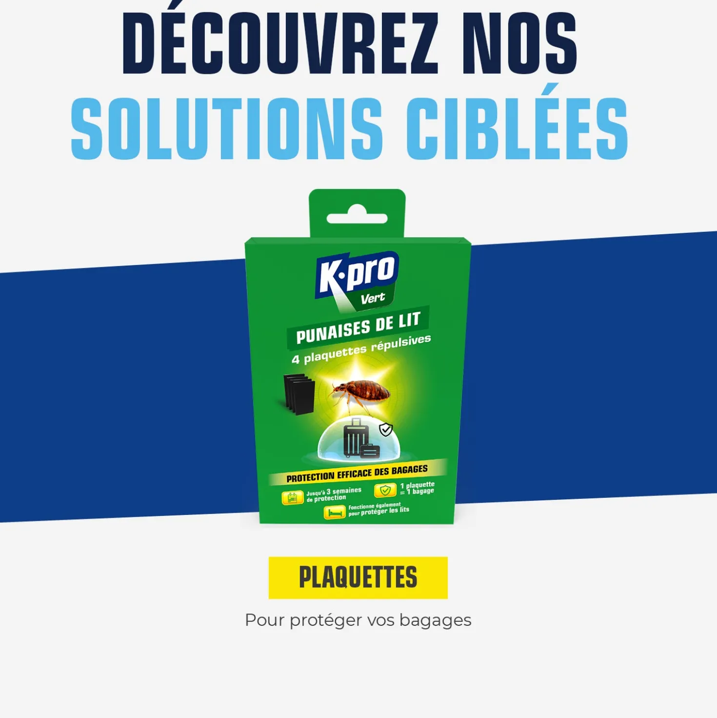 Plaquettes punaises de lit