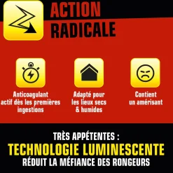 Pâtes rats et souris