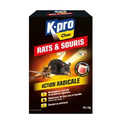 Pâtes rats et souris