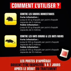 Pâtes rats et souris