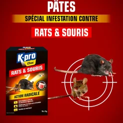 Pâtes rats et souris