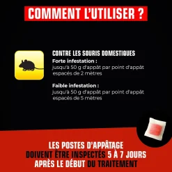Pâtes souris