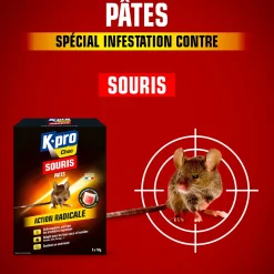 Pâtes souris