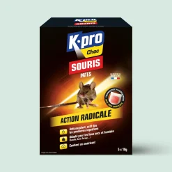 Pâtes souris