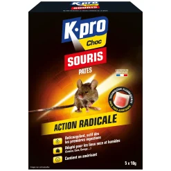 Pâtes souris