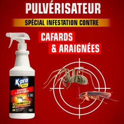 Pulvérisateur cafards et araignées