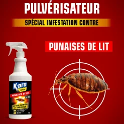 Pulvérisateur punaises de lit