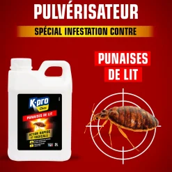 Recharge insecticide punaises de lit