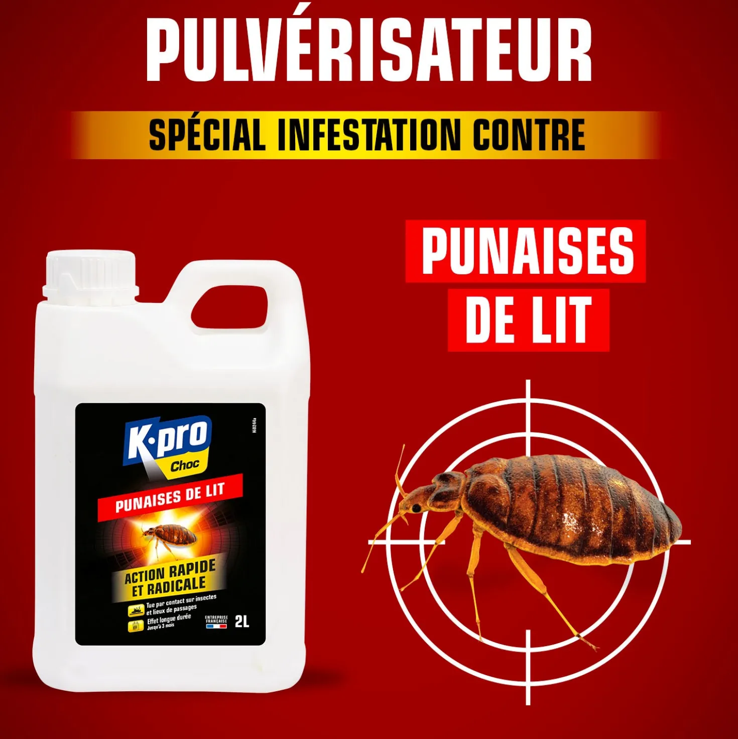 Recharge insecticide punaises de lit