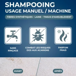 Shampooing raviveur pour tapis et moquettes