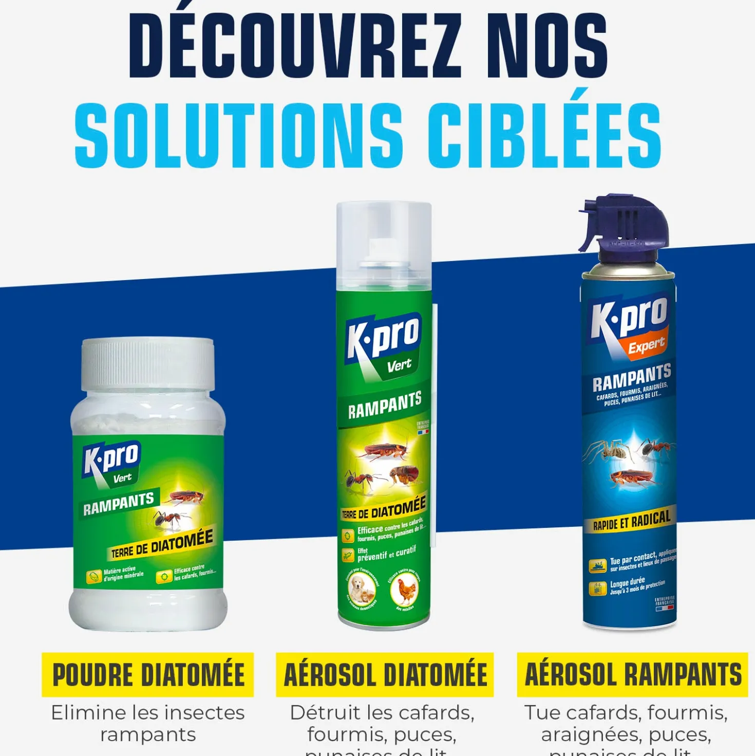 Terre de Diatomée