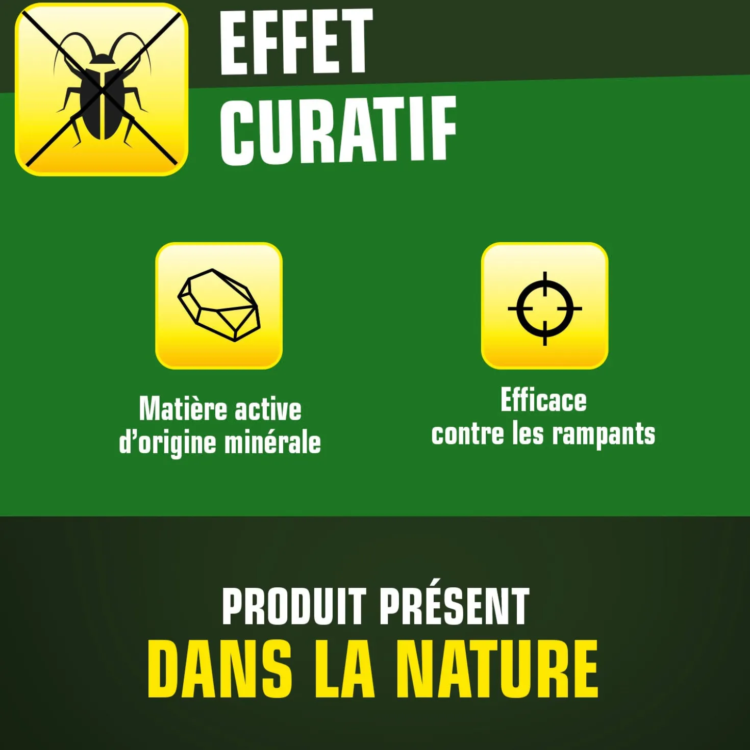 Terre de Diatomée