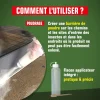 Terre de Diatomée Punaises de Lit avec flacon applicateur