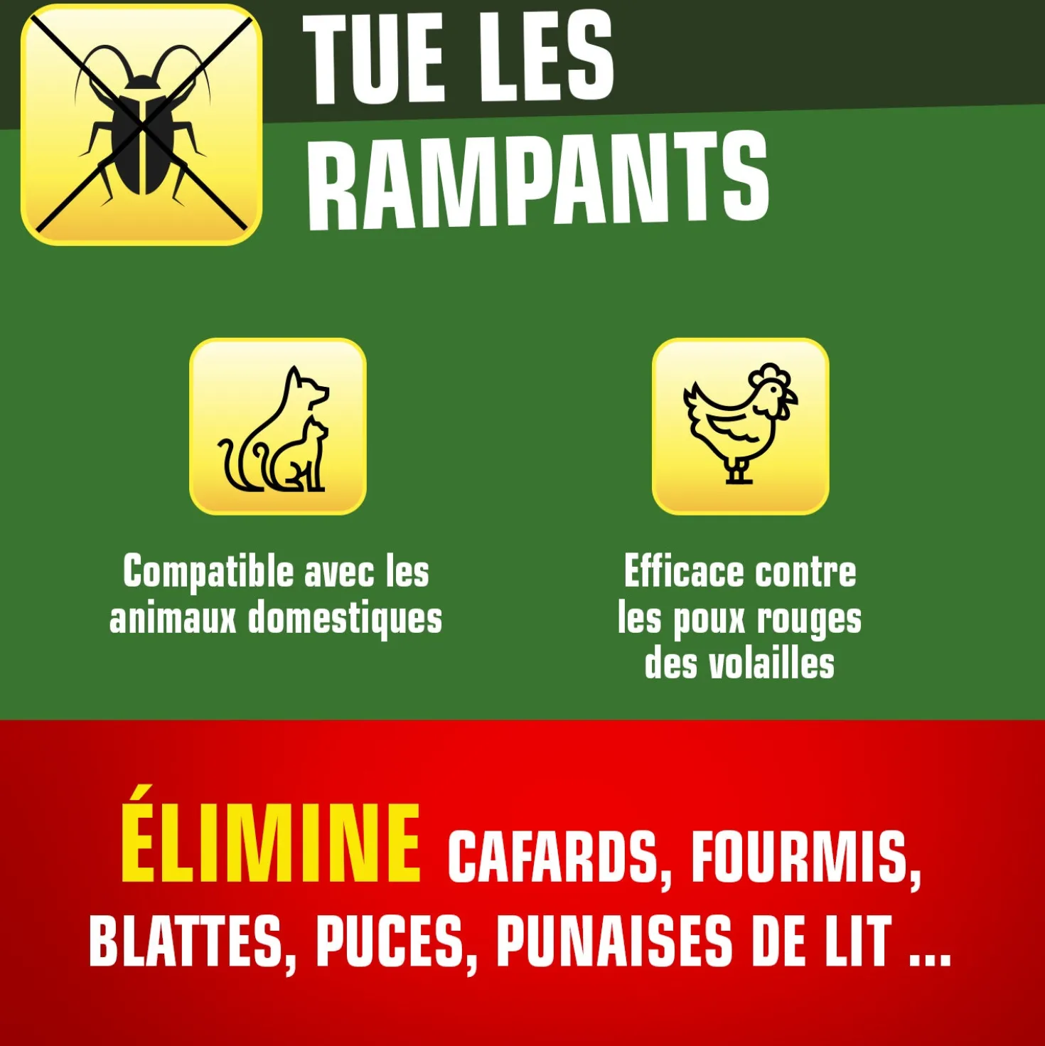 Terre de Diatomée Punaises de Lit avec flacon applicateur